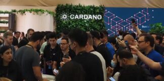 Cardano Blockchain Releases Update to Enhance Network Communication