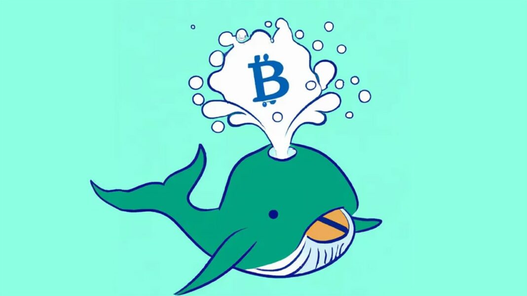 What Are Crypto Whales and Why Are They Important