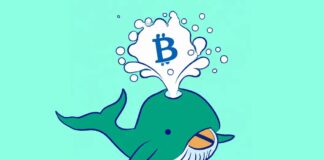 What Are Crypto Whales and Why Are They Important