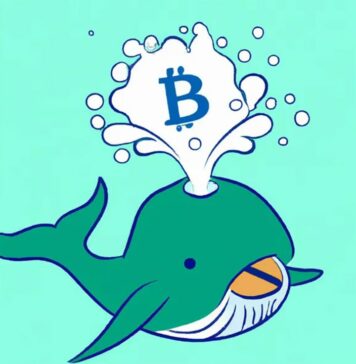 What Are Crypto Whales and Why Are They Important? What Are Crypto Whales and Why Are They Important