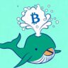 What Are Crypto Whales and Why Are They Important