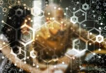 How to Use Etherscan and Other Blockchain Explorers