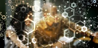 How to Use Etherscan and Other Blockchain Explorers