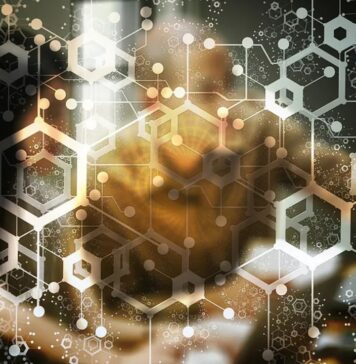 How to Use Etherscan and Other Blockchain Explorers