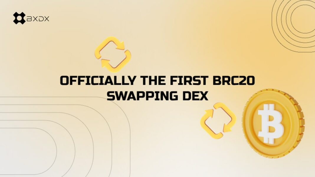 brc20 swapping dex