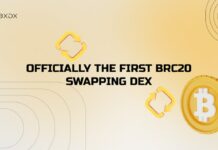 brc20 swapping dex