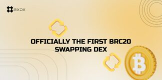 brc20 swapping dex