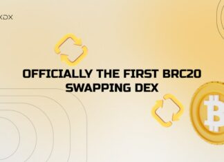brc20 swapping dex