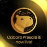 Cabbra Presale