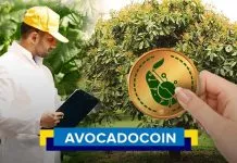avocado coin